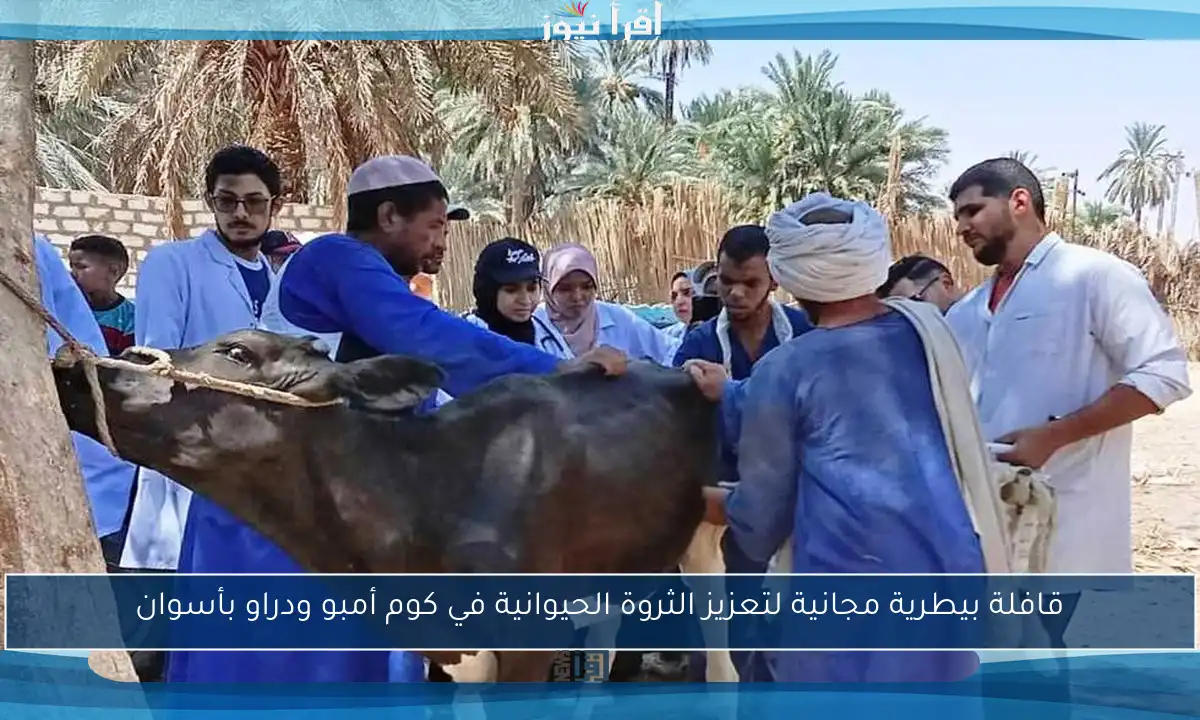 قافلة بيطرية مجانية لتعزيز الثروة الحيوانية في كوم أمبو ودراو بأسوان