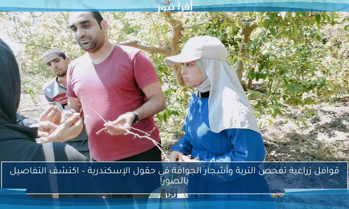 قوافل زراعية تفحص التربة وأشجار الجوافة في حقول الإسكندرية – اكتشف التفاصيل بالصور!