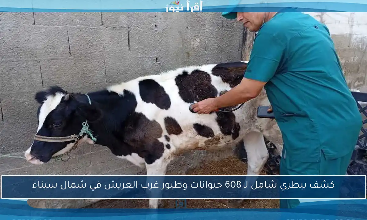 كشف بيطري شامل لـ 608 حيوانات وطيور غرب العريش في شمال سيناء