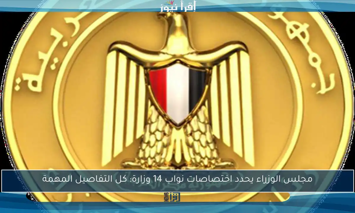 مجلس الوزراء يحدد اختصاصات نواب 14 وزارة: كل التفاصيل المهمة