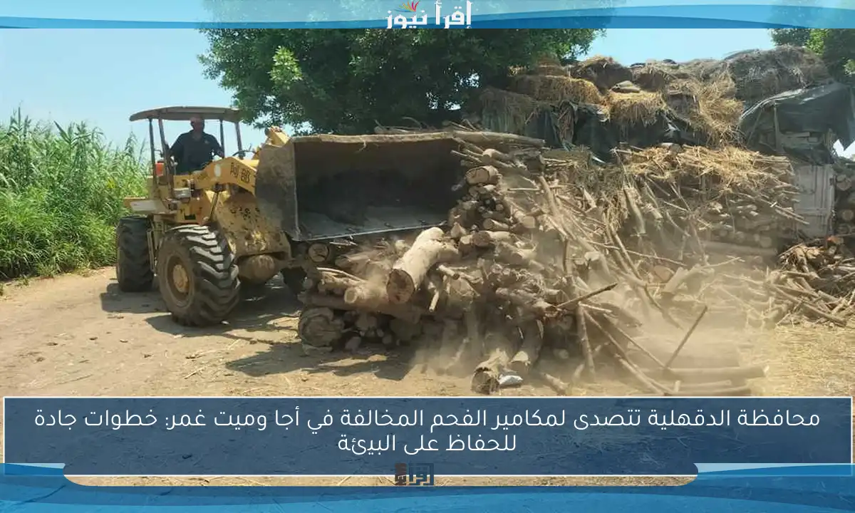 محافظة الدقهلية تتصدى لمكامير الفحم المخالفة في أجا وميت غمر: خطوات جادة للحفاظ على البيئة