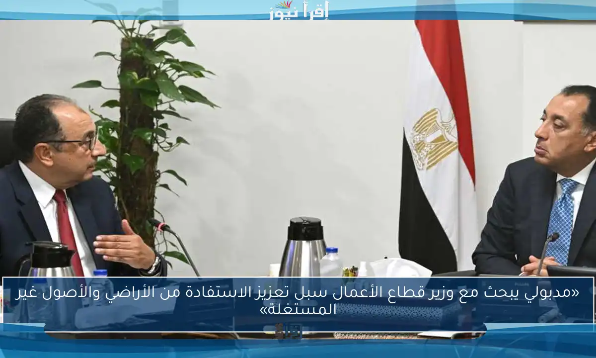 «مدبولي يبحث مع وزير قطاع الأعمال سبل تعزيز الاستفادة من الأراضي والأصول غير المستغلة»