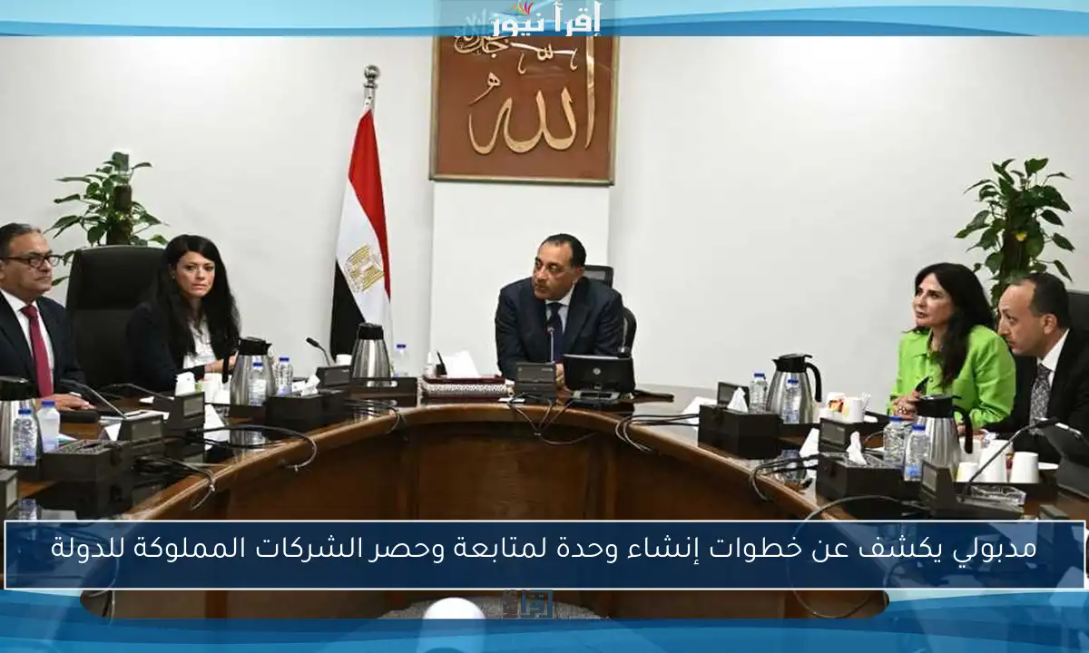 مدبولي يكشف عن خطوات إنشاء وحدة لمتابعة وحصر الشركات المملوكة للدولة