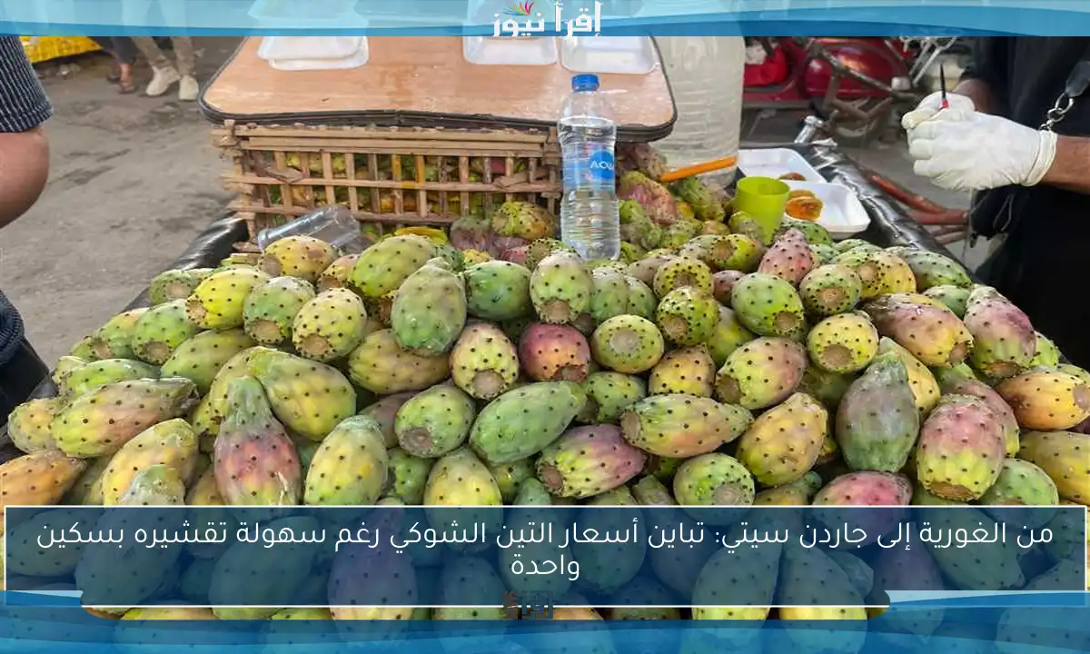من الغورية إلى جاردن سيتي: تباين أسعار التين الشوكي رغم سهولة تقشيره بسكين واحدة