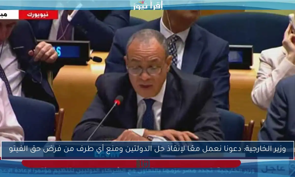 وزير الخارجية: دعونا نعمل معًا لإنقاذ حل الدولتين ومنع أي طرف من فرض حق الفيتو