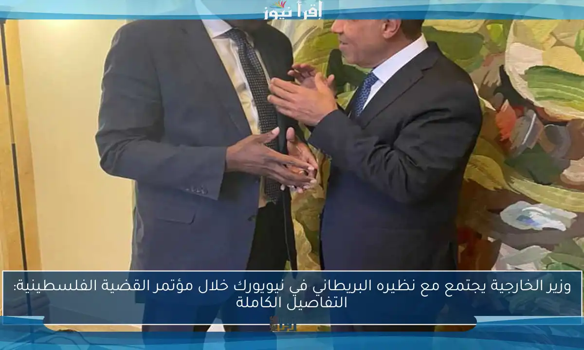 وزير الخارجية يجتمع مع نظيره البريطاني في نيويورك خلال مؤتمر القضية الفلسطينية: التفاصيل الكاملة