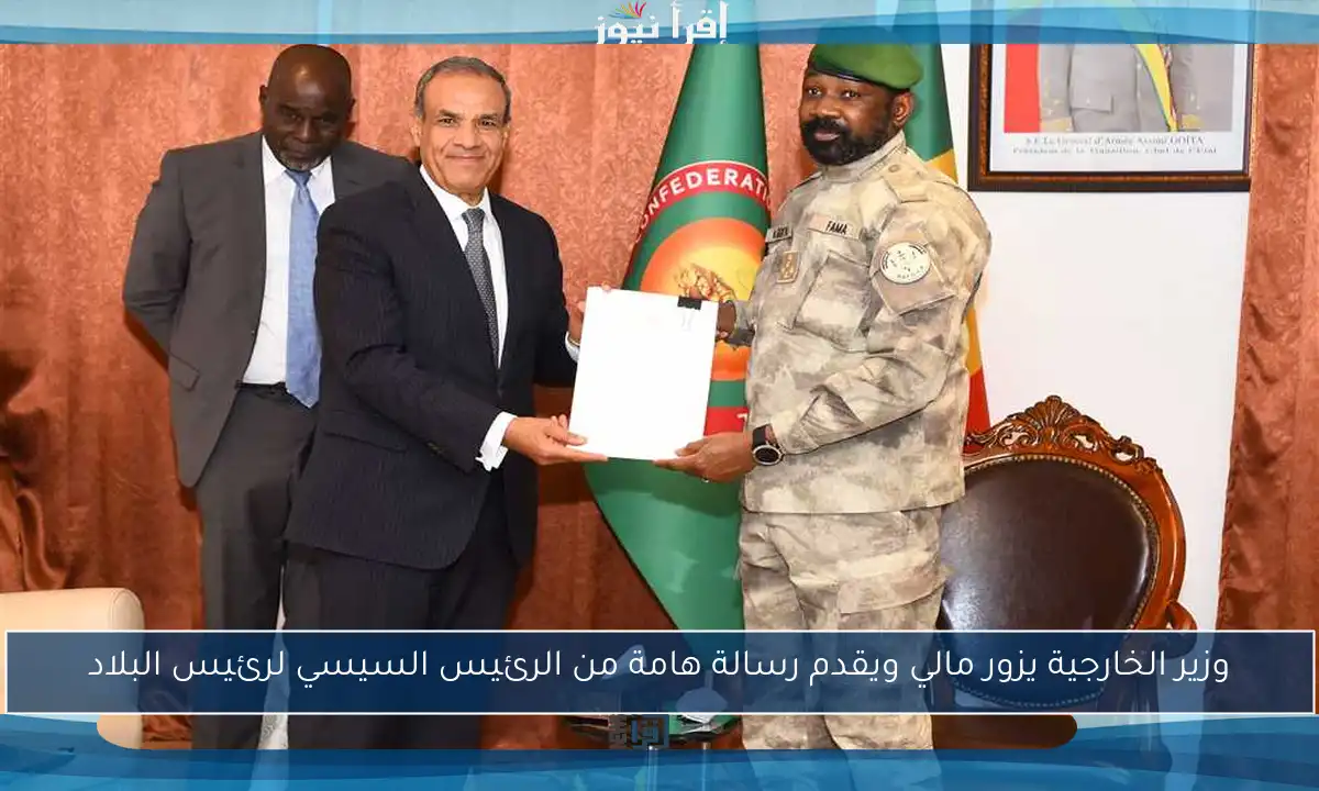 وزير الخارجية يزور مالي ويقدم رسالة هامة من الرئيس السيسي لرئيس البلاد