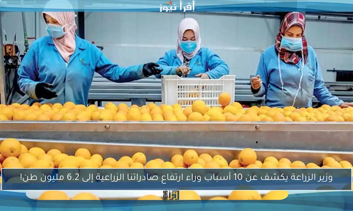 وزير الزراعة يكشف عن 10 أسباب وراء ارتفاع صادراتنا الزراعية إلى 6.2 مليون طن!