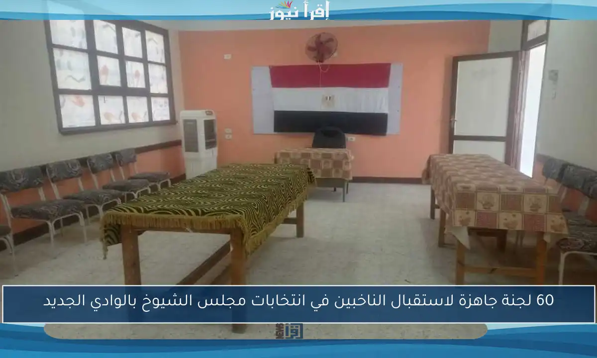 60 لجنة جاهزة لاستقبال الناخبين في انتخابات مجلس الشيوخ بالوادي الجديد