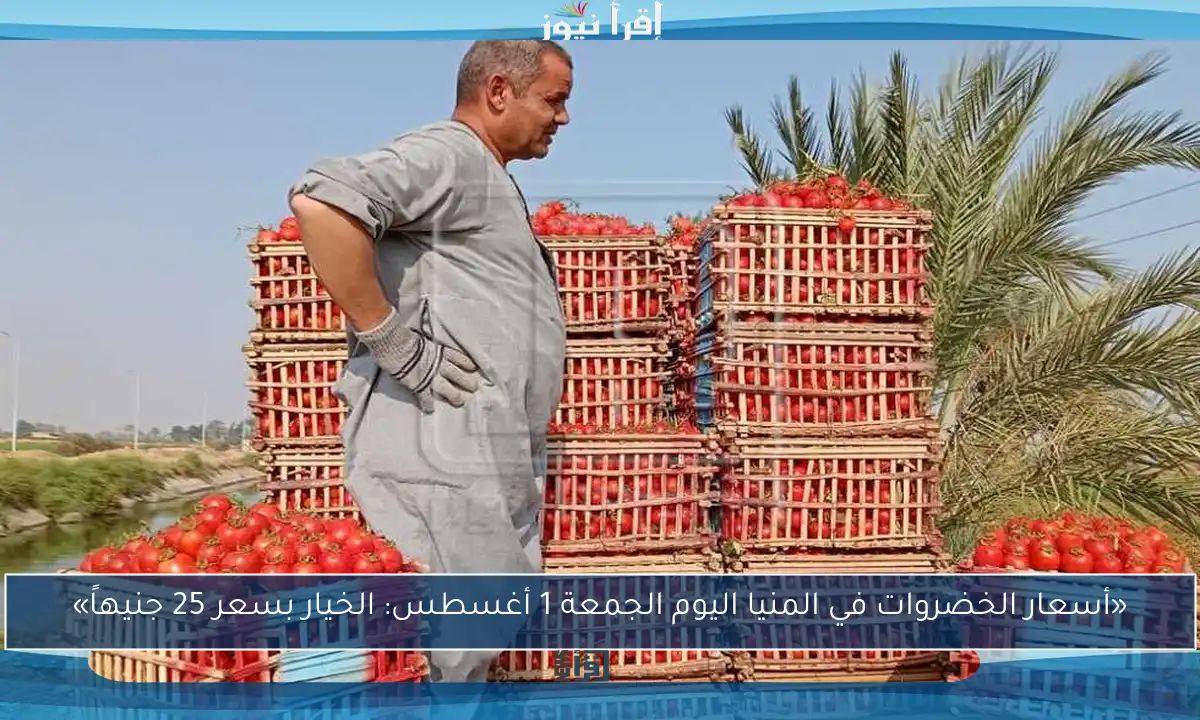 «أسعار الخضروات في المنيا اليوم الجمعة 1 أغسطس: الخيار بسعر 25 جنيهاً»