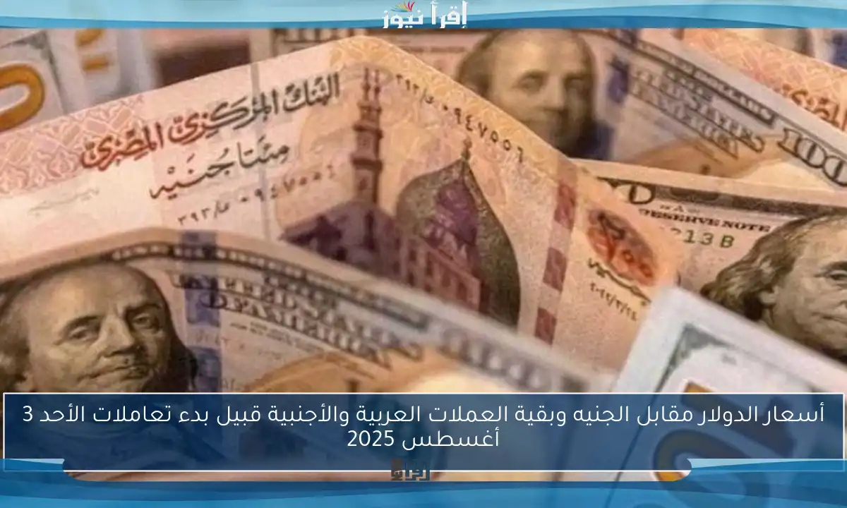 أسعار الدولار مقابل الجنيه وبقية العملات العربية والأجنبية قبيل بدء تعاملات الأحد 3 أغسطس 2025