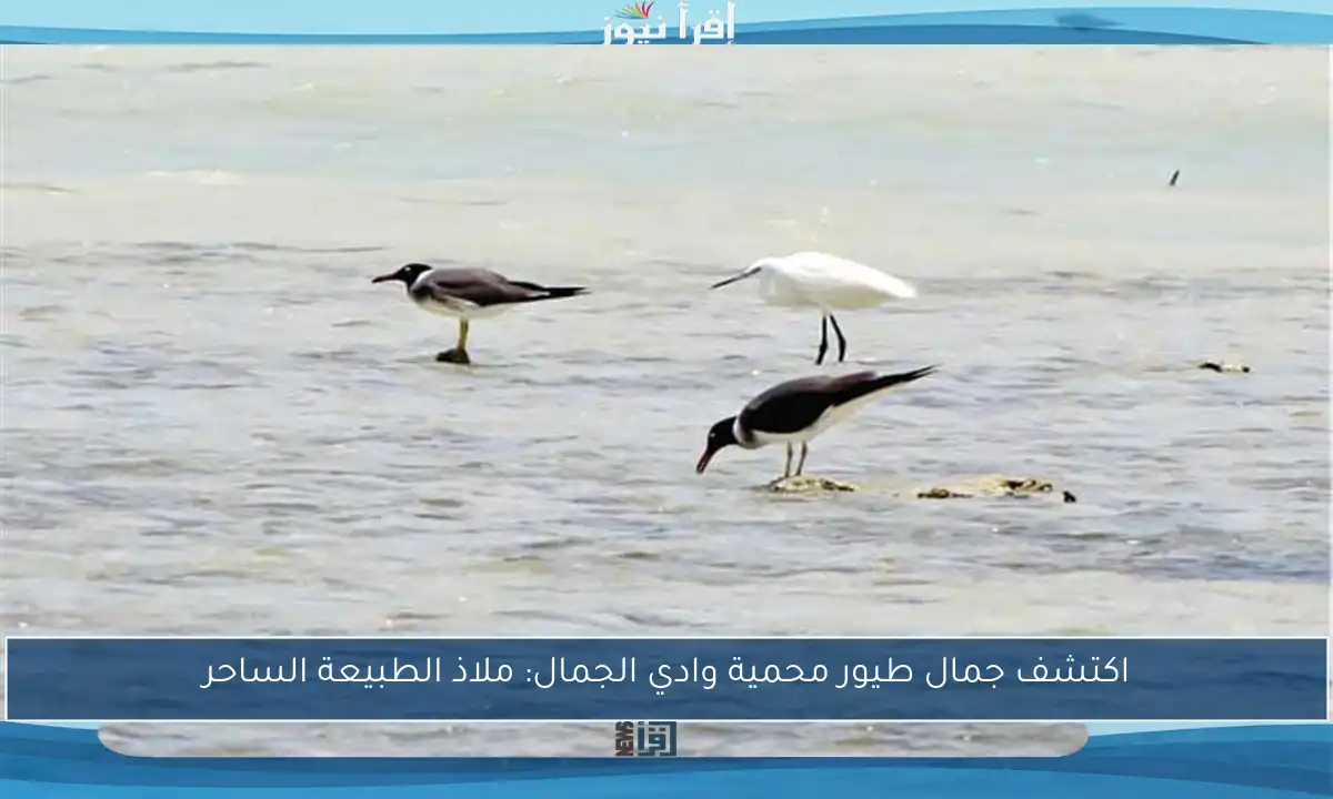 اكتشف جمال طيور محمية وادي الجمال: ملاذ الطبيعة الساحر