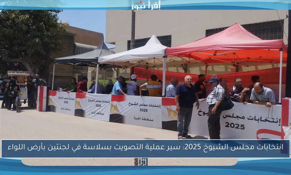 انتخابات مجلس الشيوخ 2025: سير عملية التصويت بسلاسة في لجنتين بأرض اللواء