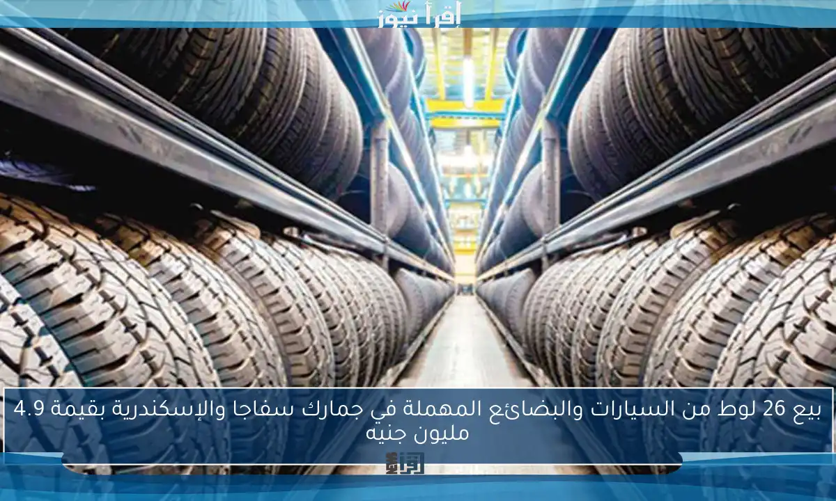بيع 26 لوط من السيارات والبضائع المهملة في جمارك سفاجا والإسكندرية بقيمة 4.9 مليون جنيه