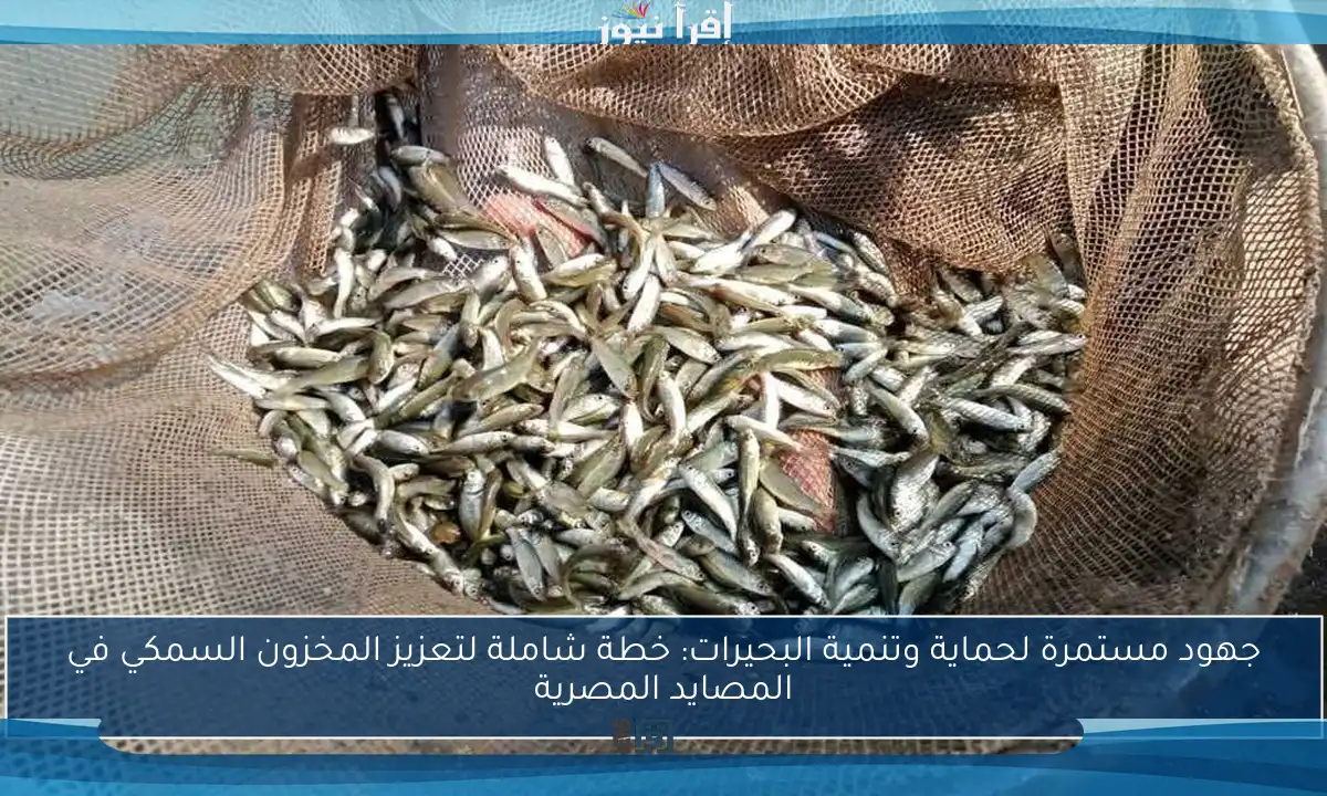 جهود مستمرة لحماية وتنمية البحيرات: خطة شاملة لتعزيز المخزون السمكي في المصايد المصرية