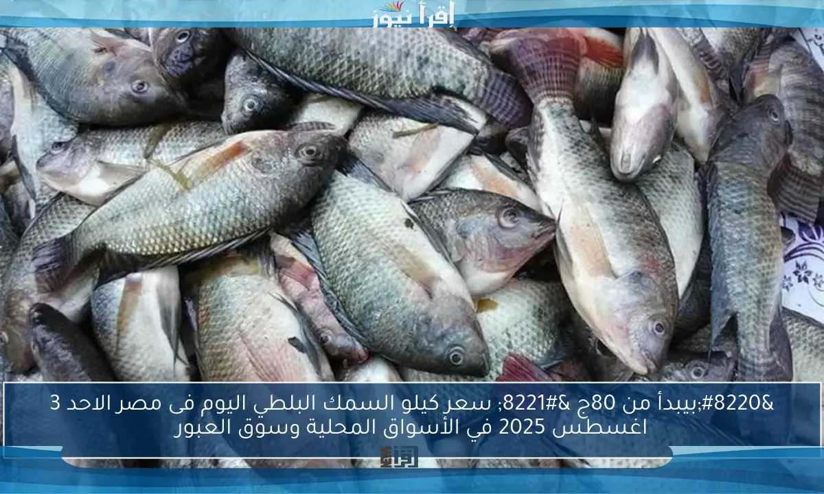 “بيبدأ من 80ج ” سعر كيلو السمك البلطي اليوم فى مصر الاحد 3 اغسطس 2025 في الأسواق المحلية وسوق العبور