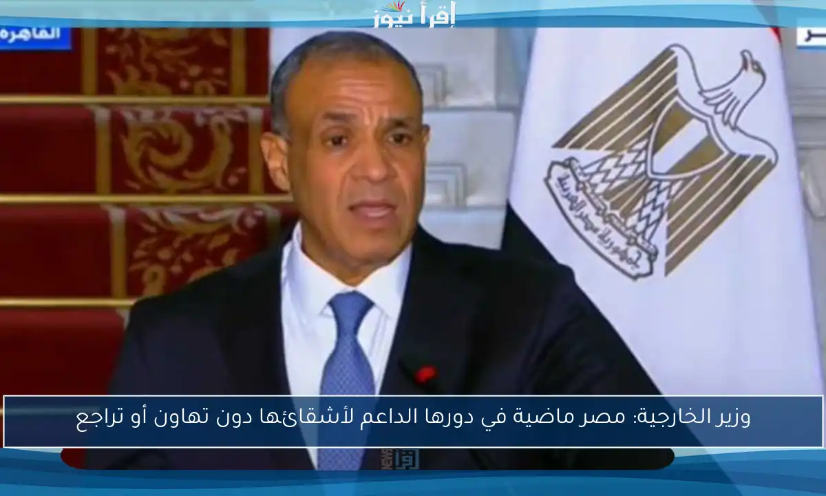 وزير الخارجية: مصر ماضية في دورها الداعم لأشقائها دون تهاون أو تراجع